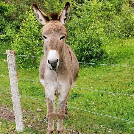 アパート Carpe Diem - Cote-montagnes *